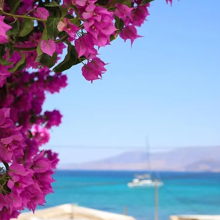 게스트하우스 Sea Nymphs